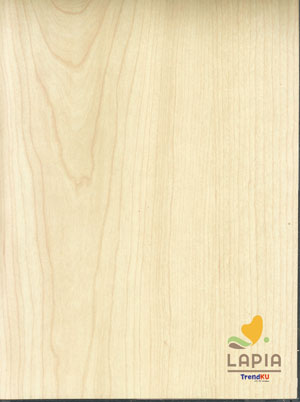 Lapia HPL 6560 Pale Maple