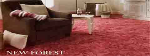 Carpet New Forest