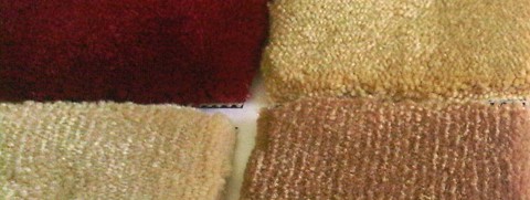 Carpet Solaria